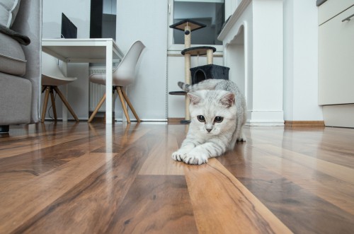 How Long Does Laminate Flooring Last?