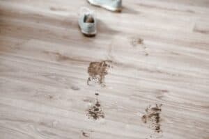 How to Handle and Remove Stains from Laminate Flooring - Singapore ...